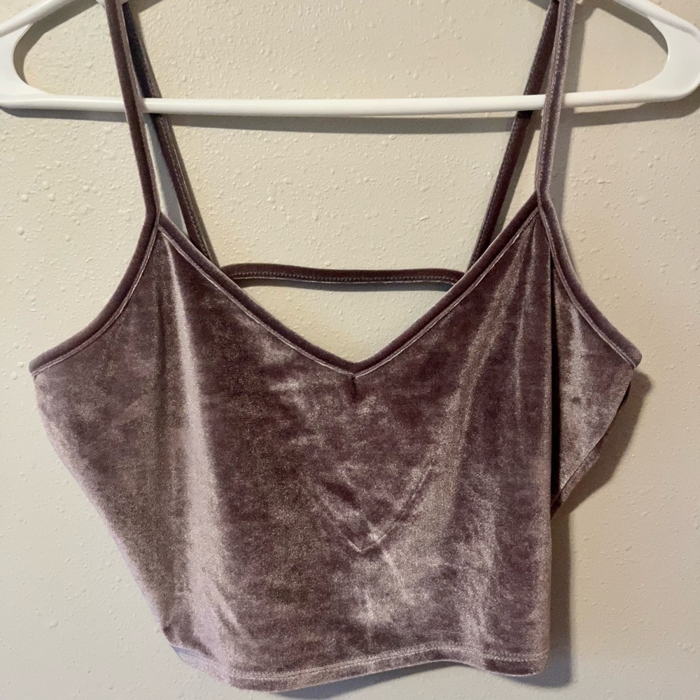 Purple Velvet Top